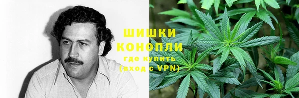 дурь Касимов