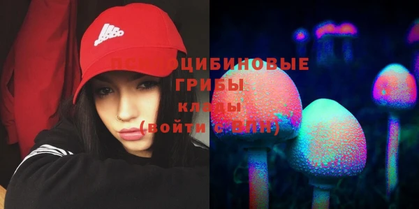 mdma Карталы