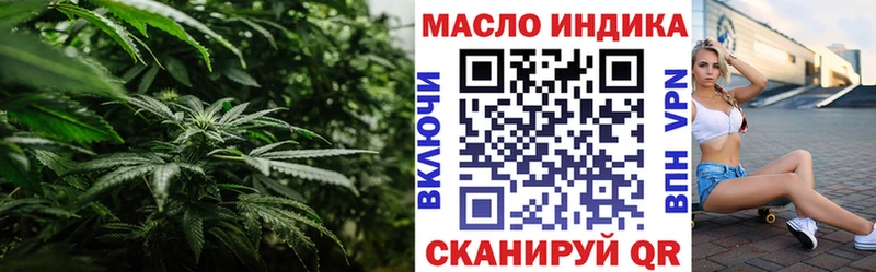 Купить закладки  Дрезна  ТГК THC oil 