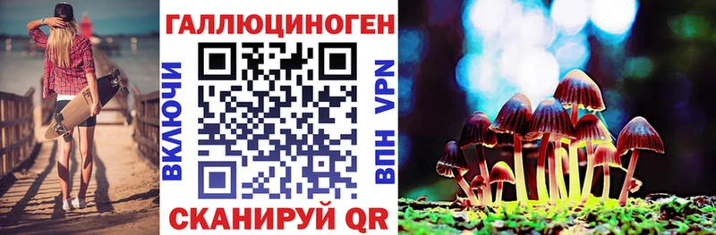 Купить  Дрезна  Галлюциногенные грибы Psilocybe 